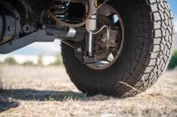 DV8 Offroad - DV8 Offroad SPJK-04 Rear Shock/End-Link Skid Plates for 07-18 Jeep Wrangler JK - Image 3