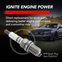 APR - APR KT100043 Ignition Coil & Spark Plug Kit RED 3.0T EA837 6-cyl for Audi/VW - Image 9
