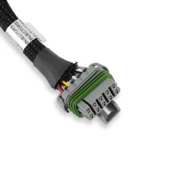 Holley EFI - Holley EFI 558-200 V8 Over Manifold Bosch Style Injector Harness - Image 5