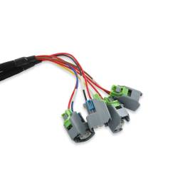 Holley EFI - Holley EFI 558-201 LSx Injector Harness for EV6 Style Injectors - Image 2