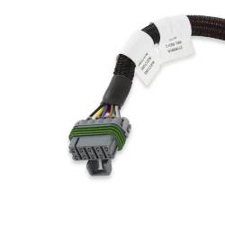 Holley EFI - Holley EFI 558-201 LSx Injector Harness for EV6 Style Injectors - Image 4