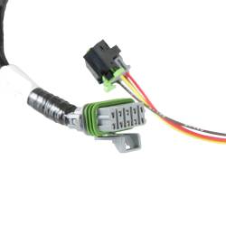 Holley EFI - Holley EFI 558-214 Fuel Injection Harness Early Truck - Image 4