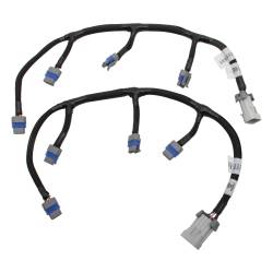 Holley EFI - Holley EFI 558-321 Ignition Coil Assembly Wiring Harness - Image 1