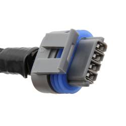Holley EFI - Holley EFI 558-321 Ignition Coil Assembly Wiring Harness - Image 4
