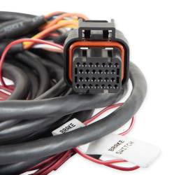 Holley EFI - Holley EFI 558-411 Dominator EFI GM Dual Drive-By-Wire Harness - Image 4
