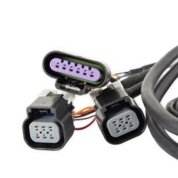 Holley EFI - Holley EFI 558-411 Dominator EFI GM Dual Drive-By-Wire Harness - Image 3
