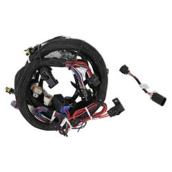 Holley EFI - Holley EFI 558-103 LS2/3/7+ 58x/4x Engine Main Harness - Image 2