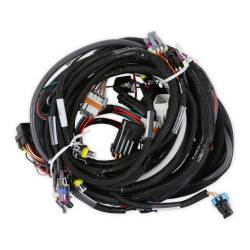 Holley EFI - Holley EFI 558-102 LS1/6 24x/1x Engine Main Harness - Image 3