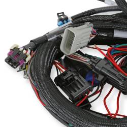 Holley EFI - Holley EFI 558-102 LS1/6 24x/1x Engine Main Harness - Image 5