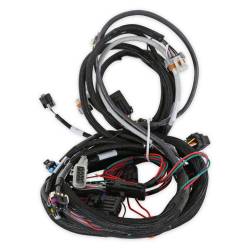 Holley EFI - Holley EFI 558-102 LS1/6 24x/1x Engine Main Harness - Image 4