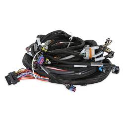 Holley EFI - Holley EFI 558-102 LS1/6 24x/1x Engine Main Harness - Image 6