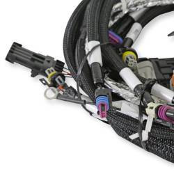 Holley EFI - Holley EFI 558-103 LS2/3/7+ 58x/4x Engine Main Harness - Image 4