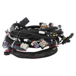 Holley EFI - Holley EFI 558-103 LS2/3/7+ 58x/4x Engine Main Harness - Image 3