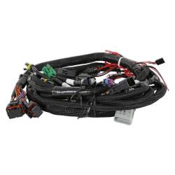 Holley EFI - Holley EFI 558-104 Universal MPFI Main Harness for HP & Dominator EFI - Image 4