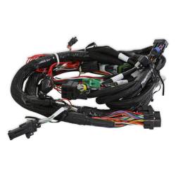 Holley EFI - Holley EFI 558-104 Universal MPFI Main Harness for HP & Dominator EFI - Image 5