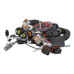 Holley EFI - Holley EFI 558-116 Gen III HEMI Main Harness Late w/TPS & Idle Air Control - Image 3