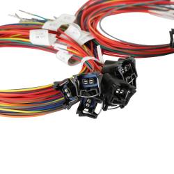 Holley EFI - Holley EFI 558-207 Unterminated 16 injectors MPFI Harness - Image 2