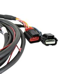 Holley EFI - Holley EFI 558-422 Fuel Injection Harness for Ford Car Coyote 302/315 - Image 4