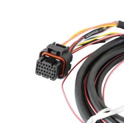 Holley EFI - Holley EFI 558-422 Fuel Injection Harness for Ford Car Coyote 302/315 - Image 3