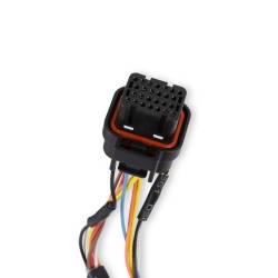 Holley EFI - Holley EFI 558-429 Holley EFI GM Drive-By-Wire Harness Early Truck - Image 3