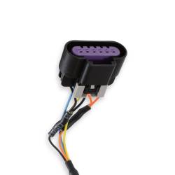 Holley EFI - Holley EFI 558-429 Holley EFI GM Drive-By-Wire Harness Early Truck - Image 5