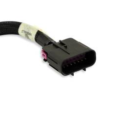 Holley EFI - Holley EFI 558-439 Terminator Throttle Body Harness - Image 4