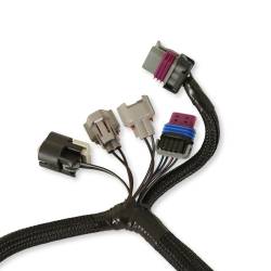 Holley EFI - Holley EFI 558-439 Terminator Throttle Body Harness - Image 2