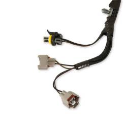 Holley EFI - Holley EFI 558-439 Terminator Throttle Body Harness - Image 3