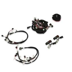 Holley EFI - Holley EFI 558-505 Fuel Injection Harness for Ford Car Modular 281 330 - Image 2