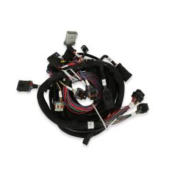 Holley EFI - Holley EFI 558-505 Fuel Injection Harness for Ford Car Modular 281 330 - Image 3