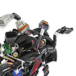 Holley EFI - Holley EFI 558-108 Fuel Injection Harness for Ford Car Modular 281 330 - Image 3