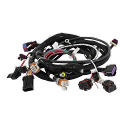 Holley EFI - Holley EFI 558-111 Main Engine Harness for 24x LS w/TBI - Image 2