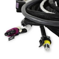 Holley EFI - Holley EFI 558-111 Main Engine Harness for 24x LS w/TBI - Image 4