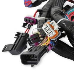 Holley EFI - Holley EFI 558-111 Main Engine Harness for 24x LS w/TBI - Image 3