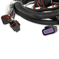 Holley EFI - Holley EFI 558-112 MAIN ENGINE HARNESS for 58X LS w/TBI - Image 4