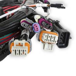Holley EFI - Holley EFI 558-112 MAIN ENGINE HARNESS for 58X LS w/TBI - Image 3