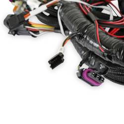 Holley EFI - Holley EFI 558-112 MAIN ENGINE HARNESS for 58X LS w/TBI - Image 5