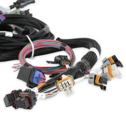 Holley EFI - Holley EFI 558-115 Main Harness Early w/TPS & Idle Air Control for Gen III Hemi - Image 4