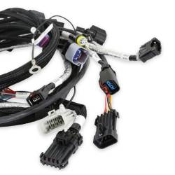 Holley EFI - Holley EFI 558-115 Main Harness Early w/TPS & Idle Air Control for Gen III Hemi - Image 5