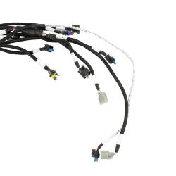 Holley EFI - Holley EFI 558-141 Fuel Injection Harness for Ford Car Godzilla 415 445 - Image 2