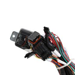 Holley EFI - Holley EFI 558-141 Fuel Injection Harness for Ford Car Godzilla 415 445 - Image 1