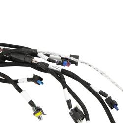 Holley EFI - Holley EFI 558-141 Fuel Injection Harness for Ford Car Godzilla 415 445 - Image 3