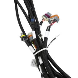 Holley EFI - Holley EFI 558-141 Fuel Injection Harness for Ford Car Godzilla 415 445 - Image 4
