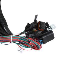 Holley EFI - Holley EFI 558-141 Fuel Injection Harness for Ford Car Godzilla 415 445 - Image 6