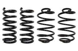 UMI Performance - UMI Performance 3051 Coil Spring Lowering Kit - Image 2