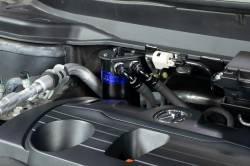 HPS Performance - HPS 860-015BL Blue Oil Catch Can Kit for 19-25 Acura RDX 2.0L Turbo - Image 2