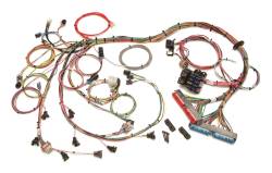 Painless Wiring - Painless Wiring 60509 GM LS1 Fuel Injection Harness 97-04 Camaro/Corvette - Image 1
