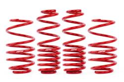 APR - APR SUS00014 Roll-Control Lowering Springs for 15-21 Golf R GTI - Image 2