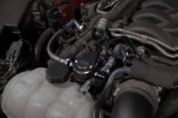 K&N - K&N 81-0802 Oil Separator Catch Can for Ford Mustang 5.0L - Image 2
