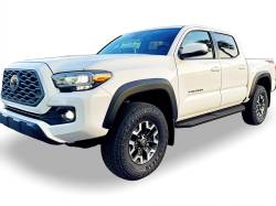APS - APS IB20RJE8H H-Series Running Boards Black for 05-23 Toyota Tacoma Double - Image 2